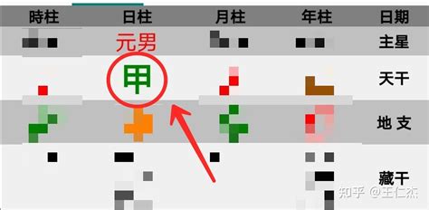 甲木和乙木|八字：甲与乙之区别